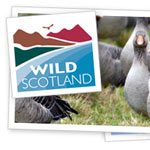 wildscotland Scotland – Europe's No. 1 Wildlife Watching Destination