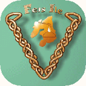 Logo Feis Ile