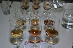 tasting-glenfarclas-250x166 Limburg Whisky Fair 2013 - Vielfalt, Chaos, Freude, Qualität