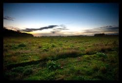 fergus-distillery-250x169 Die Morrisons werden wieder Distiller: Neue Brennereien südlich von Perth