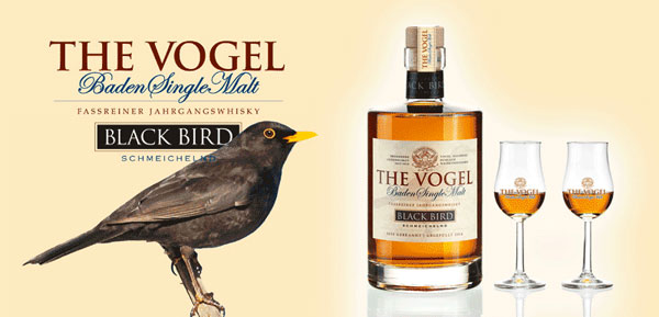 The Vogel Black Bird