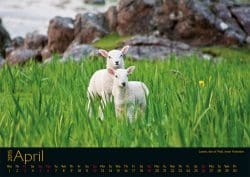04_kalender-schottland_2015-250x177 Verlosung: Traumwelten für Whisky- und Schottlandfreunde - Bildkalender zeigt Schottlands schönste Seiten