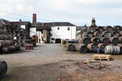 springbank-museum-erste-wahl-250x166 Campbeltown – ein Tipp für Genießer: Glengyle, Glen Scotia und Springbank