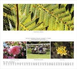 heinz-fesl-2016-scotlands-coastline-may-250x225 Neuer Panorama-Kalender von Heinz Fesl: „Scotland’s coastline“ Schottland 2016