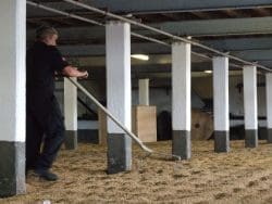 malting-floor-laphroaig-250x188 200 Jahre und kein bisschen leise: Laphroaig