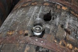 nosing-young-spirit-at-wolfburn-e1456433812353-250x166 Neues aus dem Land der schwarzen Katze – Wolfburn Distillery und ihre Inaugural Release