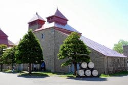 dsc_5245-250x166 Whisky-Reise nach Japan (Teil 4): Yoichi Distillery