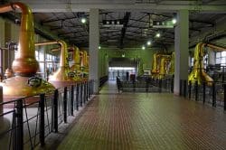 dsc_5606-250x166 Whisky-Reise nach Japan (Teil 5): Yamazaki Distillery