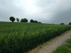 county-tipperary-250x188 Tipperary Whiskey – Stuart Nickerson goes Irish