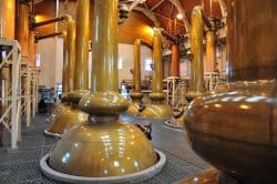 glenmorangie-cathedral-250x166 Tal der tiefen Ruhe: Glenmorangie - Historisches, Aktuelles