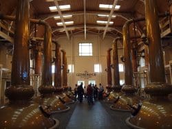 glenmorangie-stillhouse-copyright-roland-horn-250x188 Tal der tiefen Ruhe: Glenmorangie - Historisches, Aktuelles