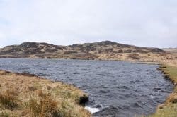 ardbeg-loch-iarnan-250x166 Ardbeg’s Kelpie Raucht...Würzig