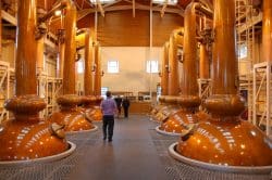 glenmorangie-stillhouse-250x166 Wiedergeburt eines Stars: Glenmorangie Astar