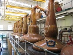 glen-grant-stills-250x188 Rare Glen Grant Vintages: Schmecken alte Whiskys?