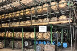 2-bourbon-caska-ardbeg-warehouse-250x166 Ardbegs WEE BEASTIE raucht