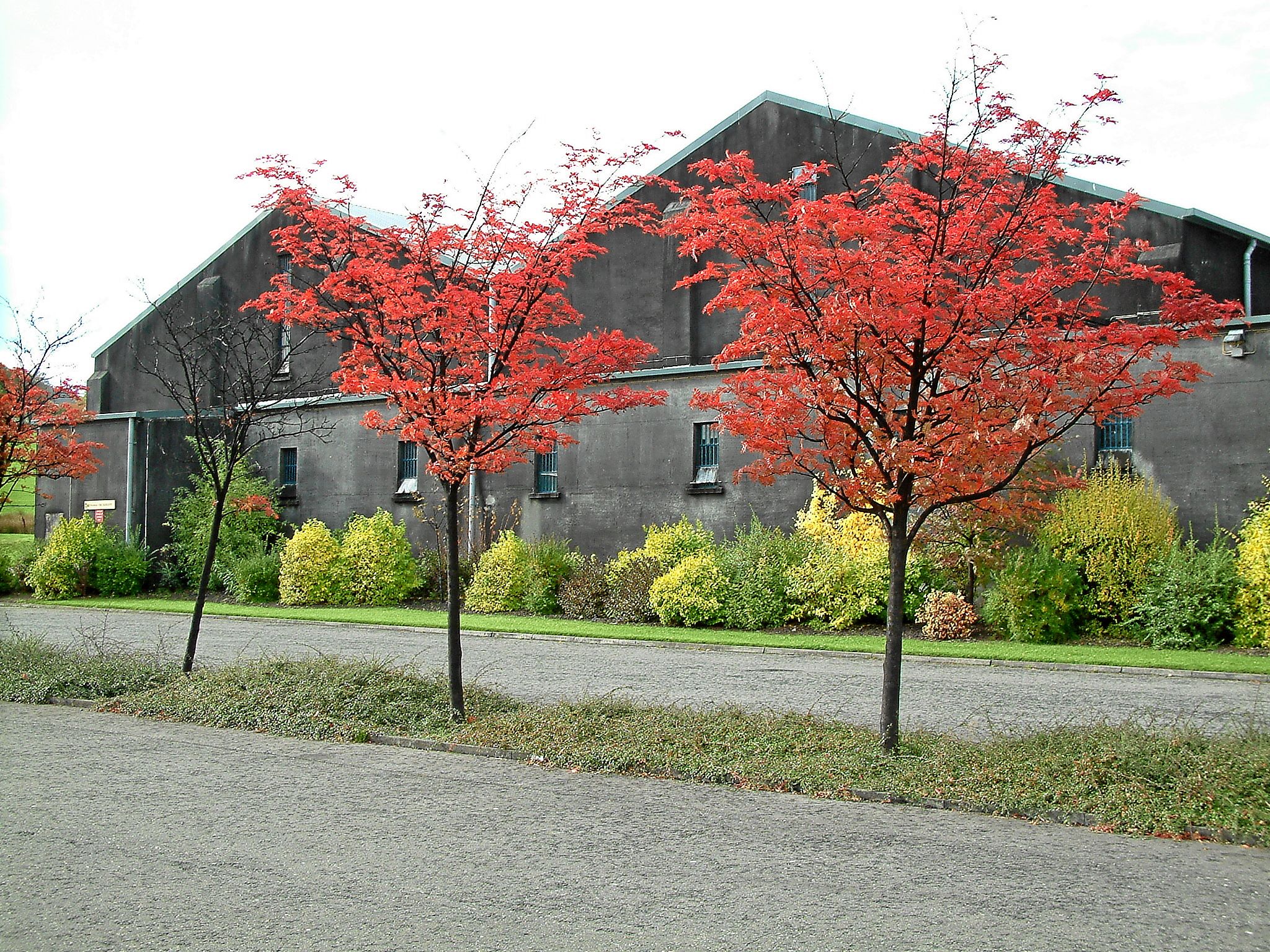 dscf0104 Erinnerungen ans gelobte Land – meine Reisen nach Schottland