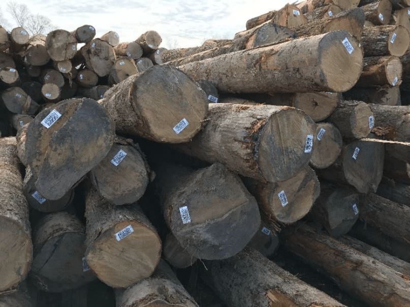 weisseiche St. Kilian: Neue Signature Edition Five reift in fünf verschiedenen Eichenfässern