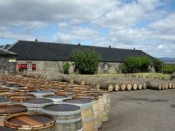 glenmorangie-barriques-and-warehouse-250x188 Glenmorangie Grand Vintage 1996 - Cask Management at its best