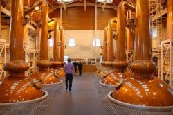 glenmorangie-stillhouse-250x166 Glenmorangie Grand Vintage 1996 - Cask Management at its best