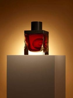 gordon-macphail-80-jahre-glenlivet-1940-flasche-250x333 Gordon & MacPhail. The Older, the Better. 80 Jahre im Sherry Butt, eine Sensation.