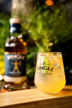 dingle-whiskey-ginger-lime-250x375 Echt irisch: Drei Cocktails für den St. Patrick’s Day