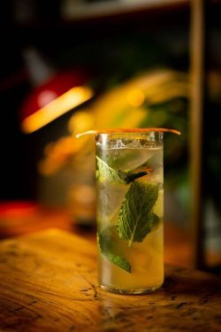 dingle-whiskey-irischer-fruehling-250x375 Echt irisch: Drei Cocktails für den St. Patrick’s Day