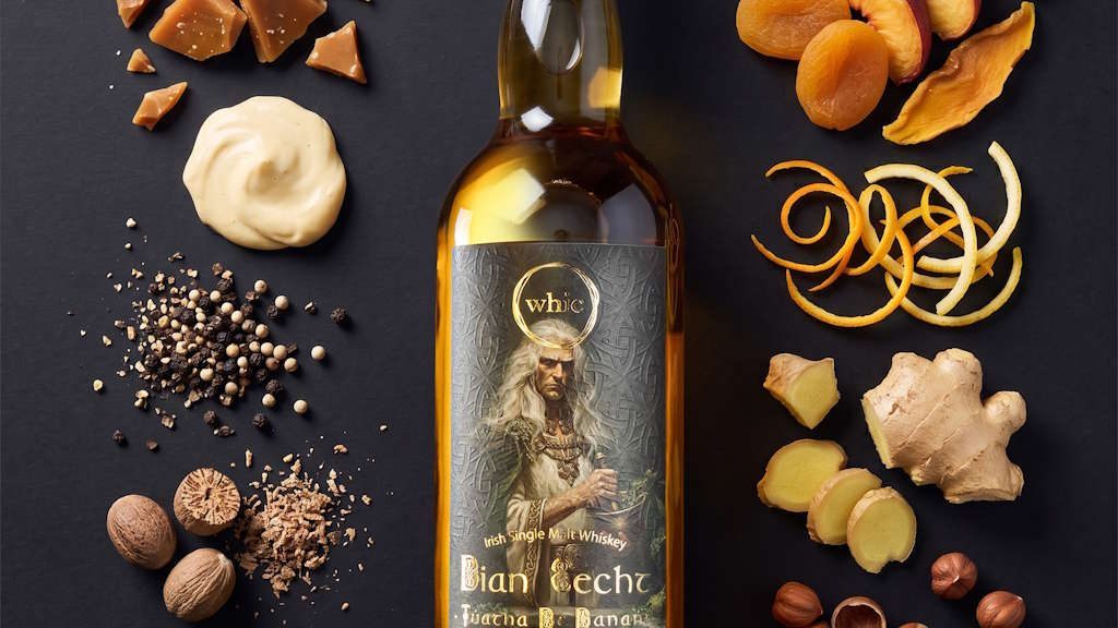 whic Túatha Dé Danann Dian Cecht