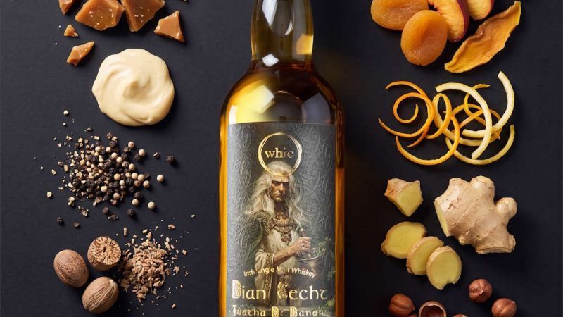 whic Túatha Dé Danann Dian Cecht